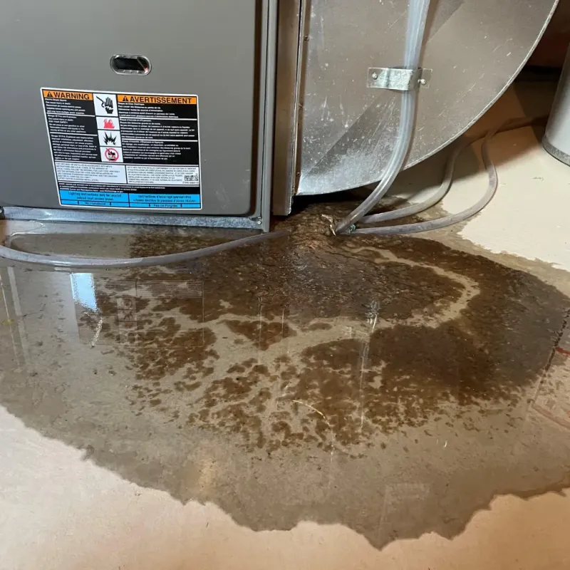 Appliance Leak Cleanup in Midway, AR